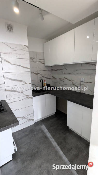wynajmu mieszkania 38m2 2 pok Rybnik