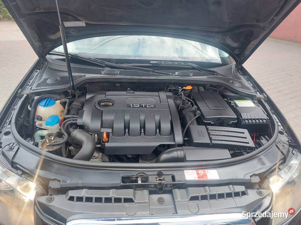 A3 29 TDI A3 łódzkie Żychlin