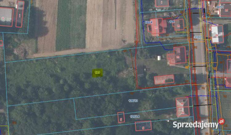 Działka z domem Drzewce Kolonia ok Nałęczowa 5500m2 Drzewce-Kolonia