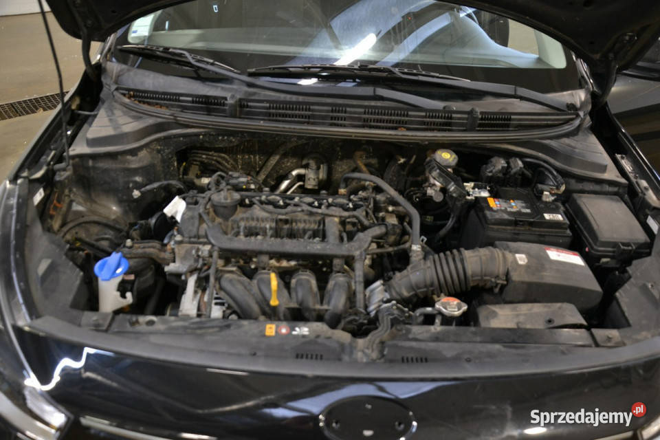 Kia Rio 12 benzyna klimatyzacja uszkodzony Rio małopolskie Kęty