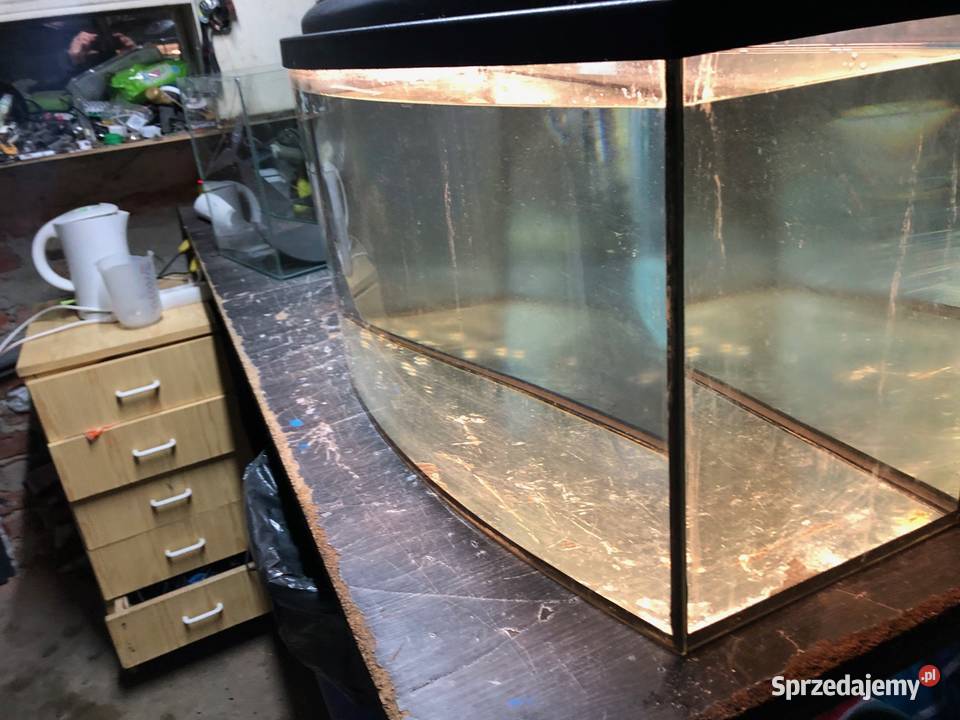 Akwarium panoramiczne 80 pokrywa oświetlenie Justynów