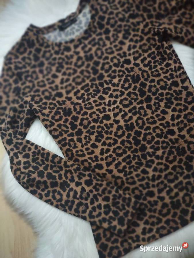Dzianinowa bluzka w panterkę Mohito S z dekoltem Bluzki i koszule małopolskie Olkusz