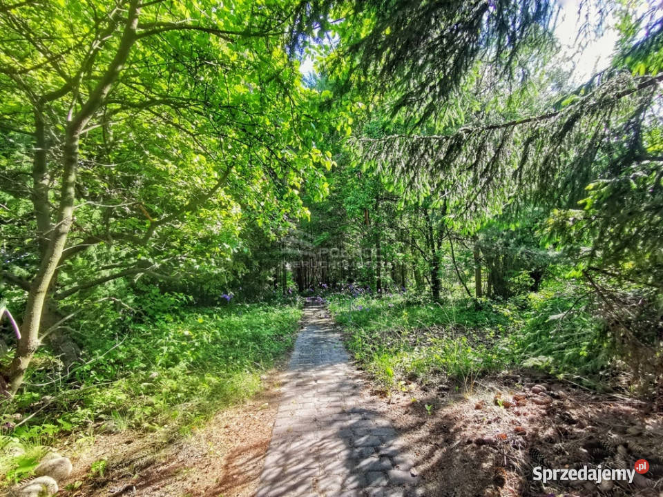Dom 110m2 ze stawem w Pokrówce Sprzedaż Pokrówka