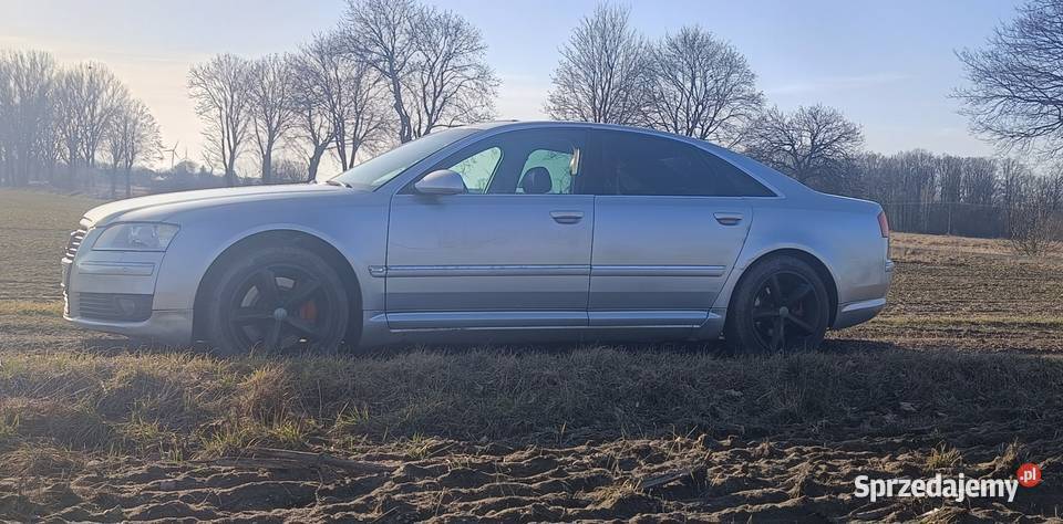 Audi A8 D3 V8 42tdi diesel lubuskie Niegosławice sprzedam