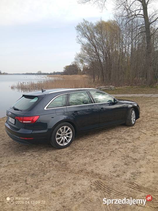 Audi a4b9 Babiak