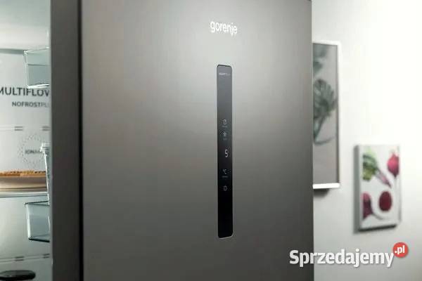Lodówka Gorenje N619EAXL4 NoFrost MultiFlow Skawina