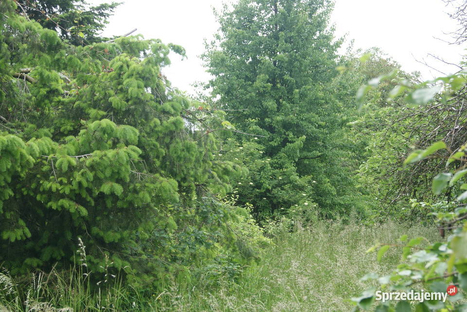 Piękna działka budowlana 1750 m2 163zł/m2 wielkopolskie