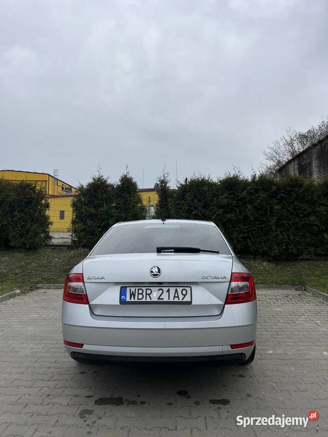 Skoda Octavia III style 20 TDI 150 DSG 2019 Rok produkcji 2019 Białobrzegi