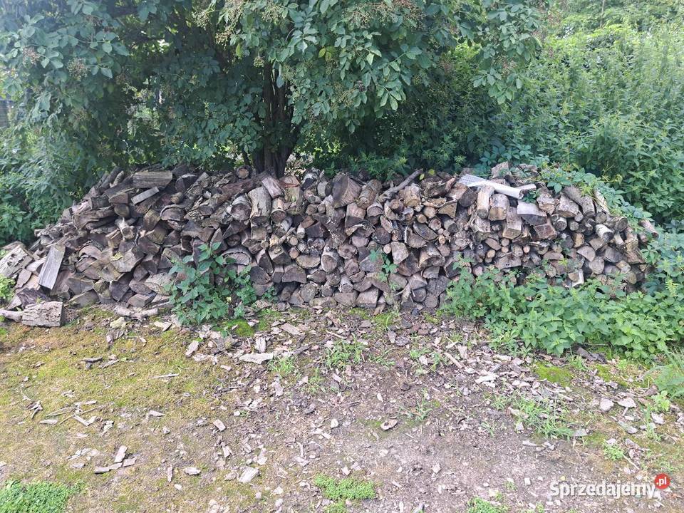 Sprzedam drewno kominkowe BRZOZA I ORZECH dolnośląskie Trzebnica