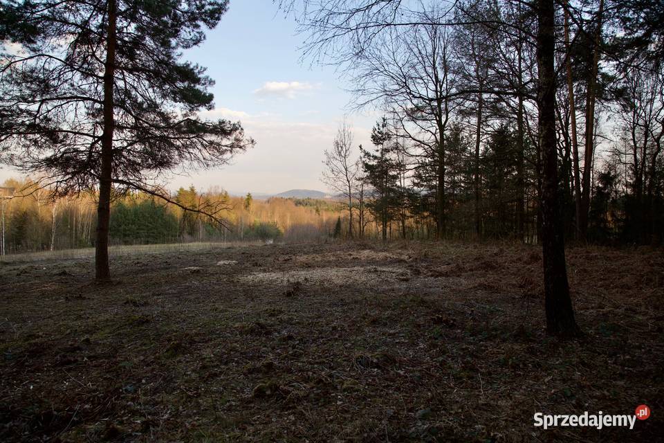 DZIAŁKA BUDOWLANOROLNA Z PIĘKNYM WIDOKIEM sprzedam
