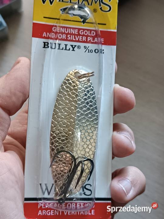 Wabler bully dolnośląskie Wrocław