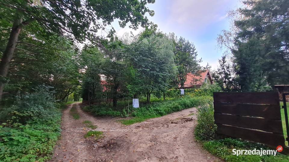 Działka 368 ara Mazury Grabowo 11700 Mrągowo