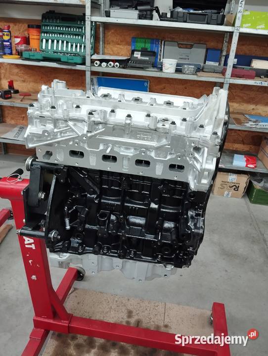 Regenerowany SILNIK 16 do RENAULT TRAFIC OPEL dostawcze Suwałki