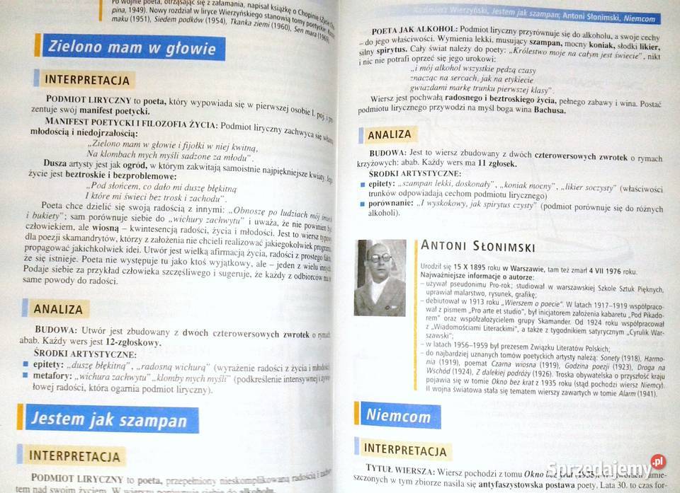 Mega Bryk Język polski 6 Dwudziestolecie