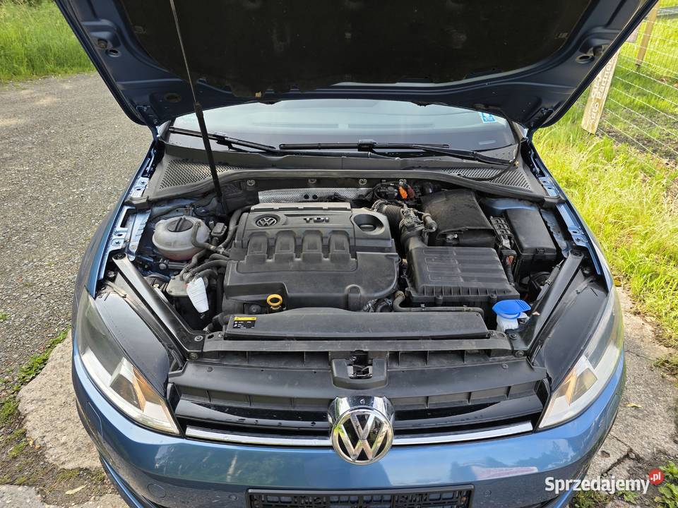16 TDI 90 Klimatronic Hak Alufelgi Zadbany Jastrzębie-Zdrój sprzedam