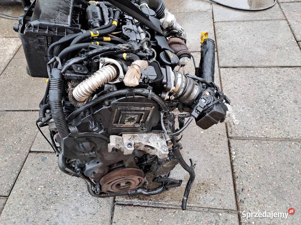 Citroen Peugeot 16HDi silnik kompletny kod 9HX śląskie Jastrzębie-Zdrój