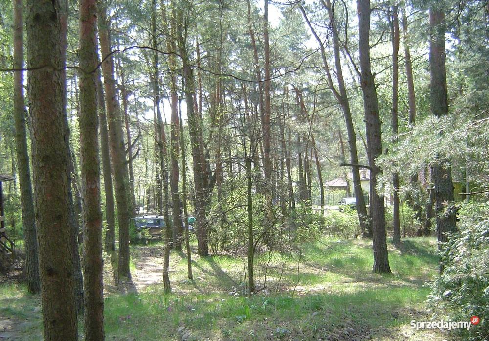 Działka budowlana Kania Polska 0zł/m2 Kania Polska