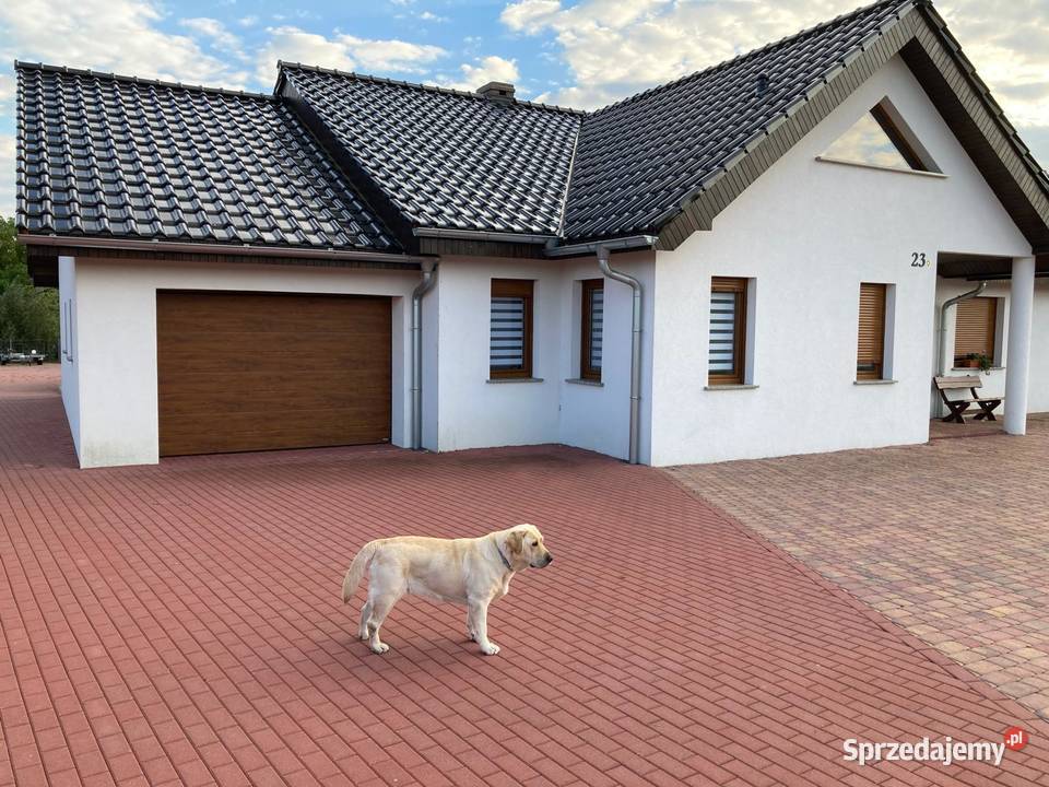 Sprzedam zdecydowanie dom lubuskie Dąbie