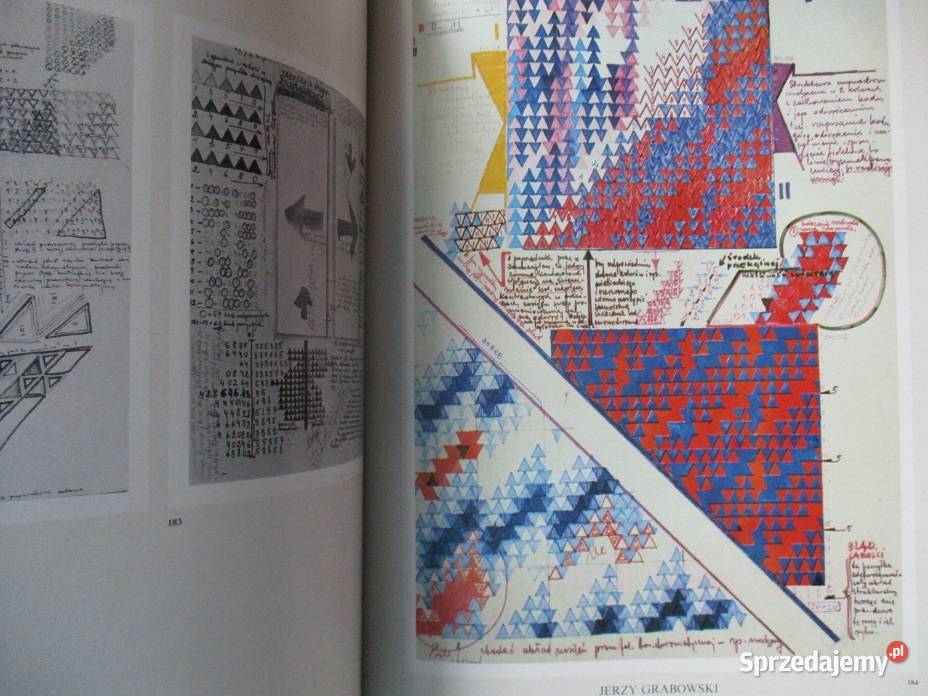 Współczesny rysunek polski Wierzchowska rysunek sztuka i architektura Poradniki, albumy i reportaże Łódź sprzedam