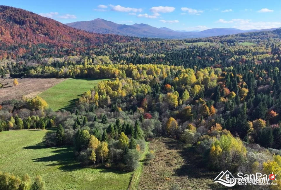 Grunt Krzywe 10100m2