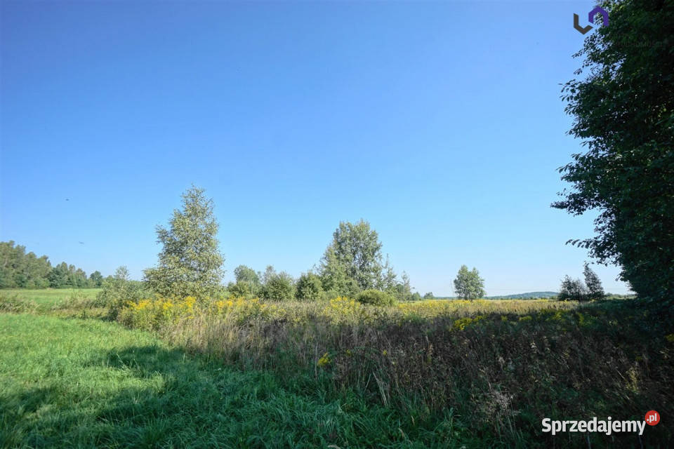Grunt 4731m2 Dąbrowa Górnicza