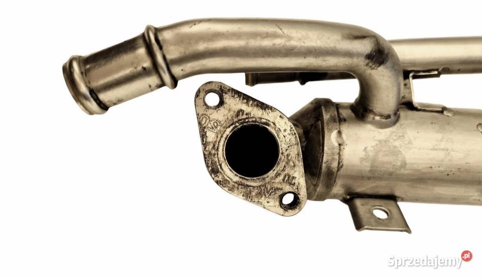 CHŁODNICA CHŁODNICZKA SPALIN EGR VW PASSAT B5 FL Recyrkulacja spalin EGR Działoszyce