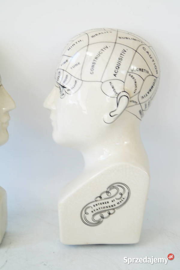 Dwie głowy medyczne porcelanowa PHERNOLOGY