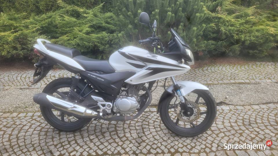 Cadillac1962wp Gniezno