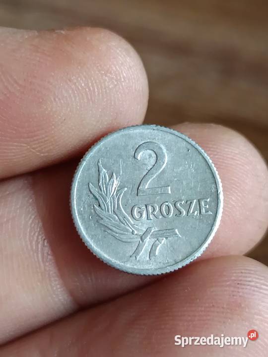 Sprzedam 2 grosze 1949 xxxx Chełm