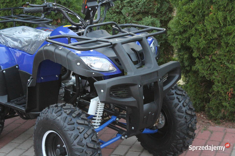 Quad 250 cc 4t Hammer Shinerau Bashan benzyna Goleniów
