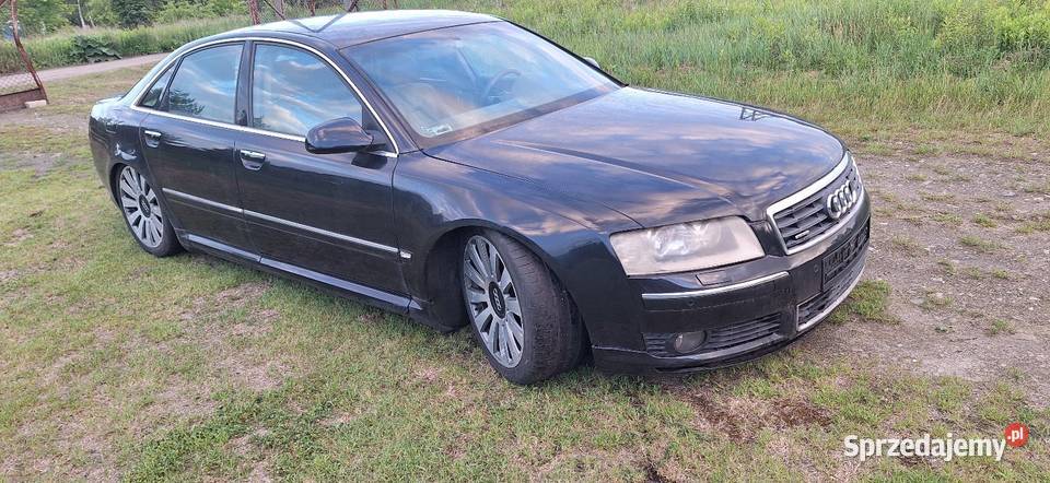 Audi A8 D3 37 LPG Toruń