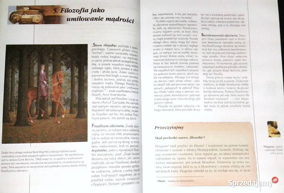 Edukacja filozoficzna I klasy gimnazjum Adam Chełm sprzedam