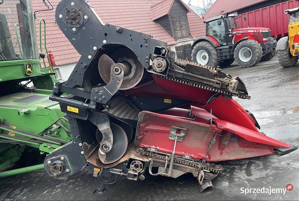Przystawka heder do kukurydzy Geringhoff RD 800 Tuchola