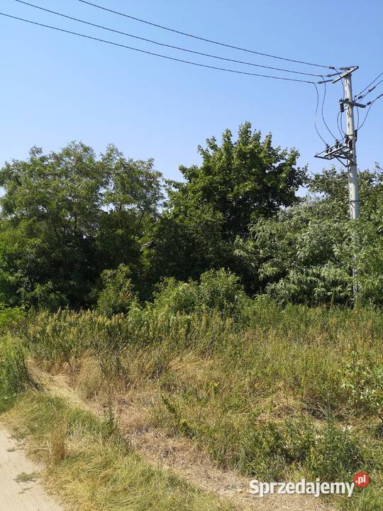 Sprzedam bezpośrednio działkę 5700m2 w otoczeniu