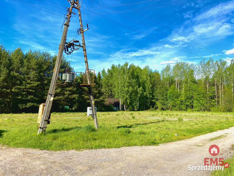 sprzedaży gruntu 3794m2 Katrynka sprzedam
