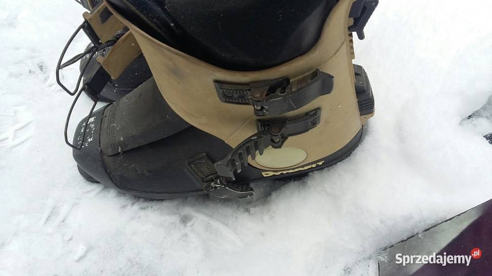 Sprzedam narty rossgno l185 dł z butami 43 i Knurów