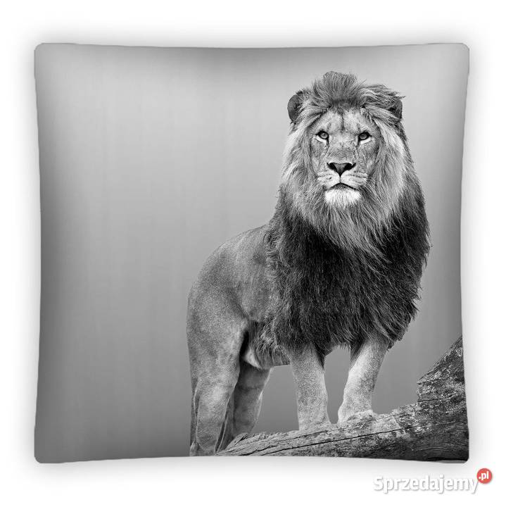 Poszewki na poduszki 4040 Warszawa