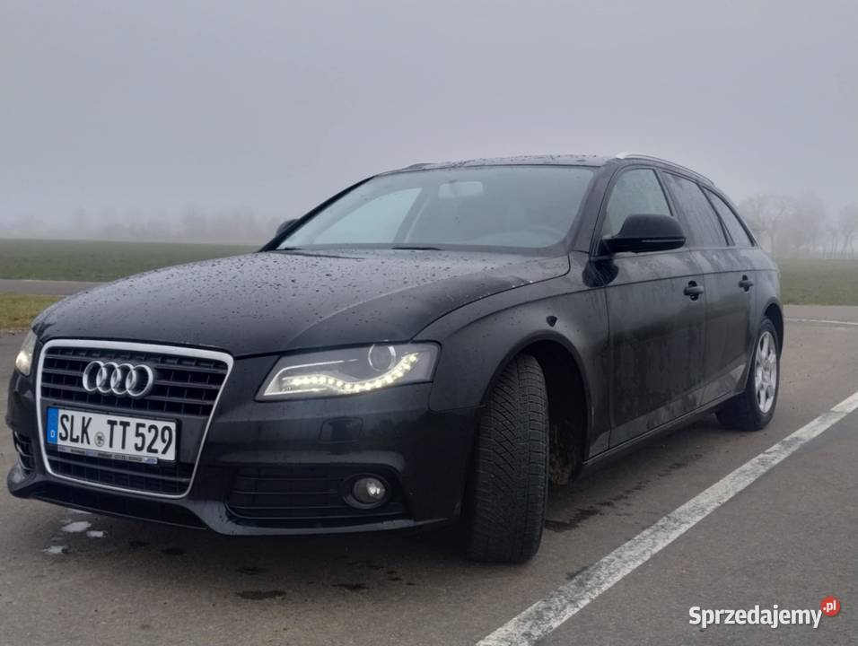 Audi A4B8 nieuszkodzony Krzywda
