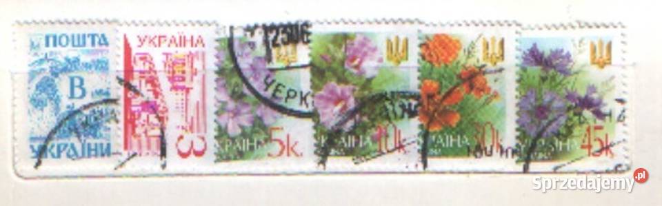 Zn Ukraina zbiorek kas Gliwice