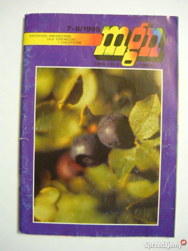 MAŁY GOŚĆ NIEDZIELNY 1995 78 Tarnów