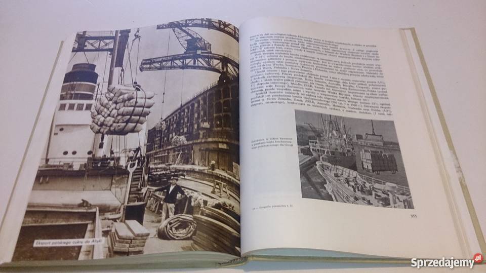 PWN Geografia powszechna 5 Tomów Książka Pozostałe Rogoźnik