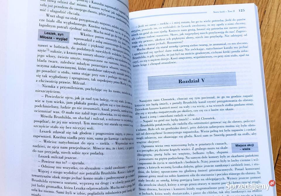 Stara Baśń J I Kraszewski opracowanie wyd Greg Baśnie, podania i legendy Tuchola