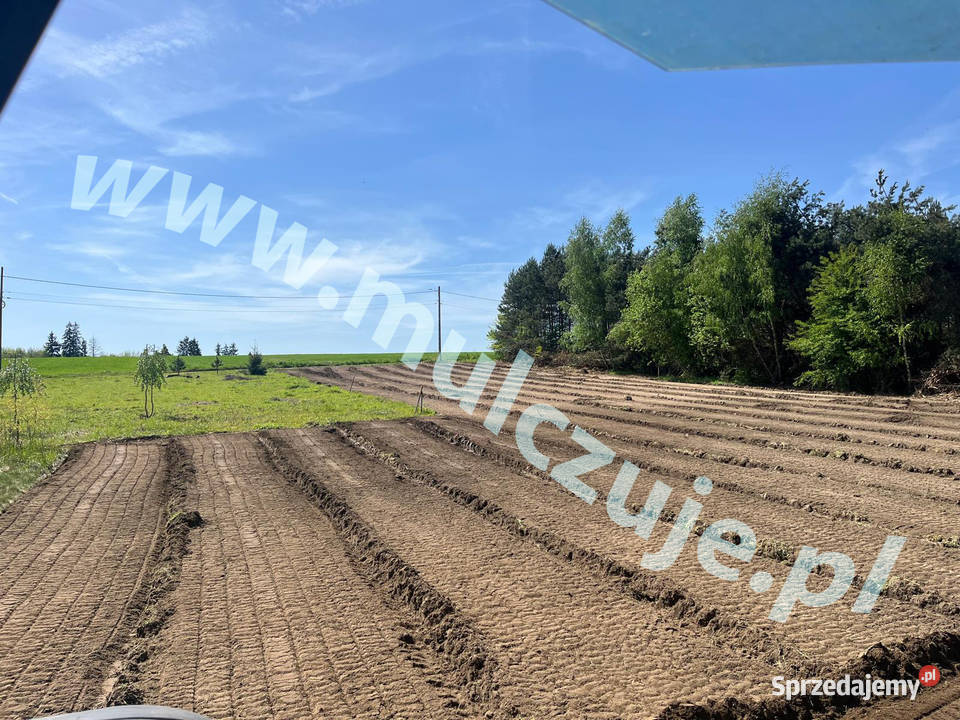 Mulczer wgłębny czyszczenie działek mulczowanie Myślenice