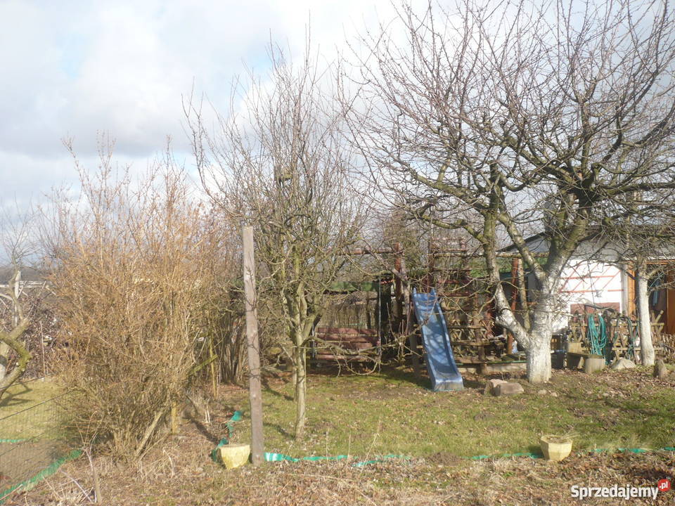 Działka ogrodowa w ROD Zorza Legnica Grunty i działki sprzedam