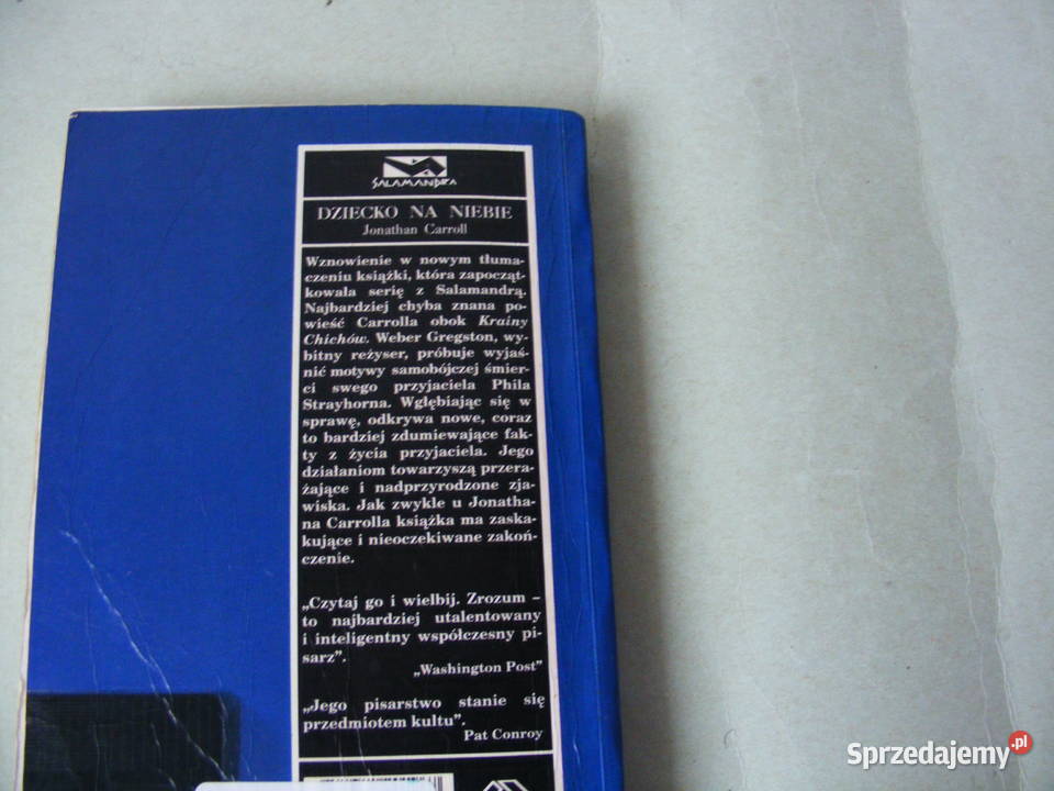 Dziecko na niebie Carroll Proza i poezja Oborniki Śląskie
