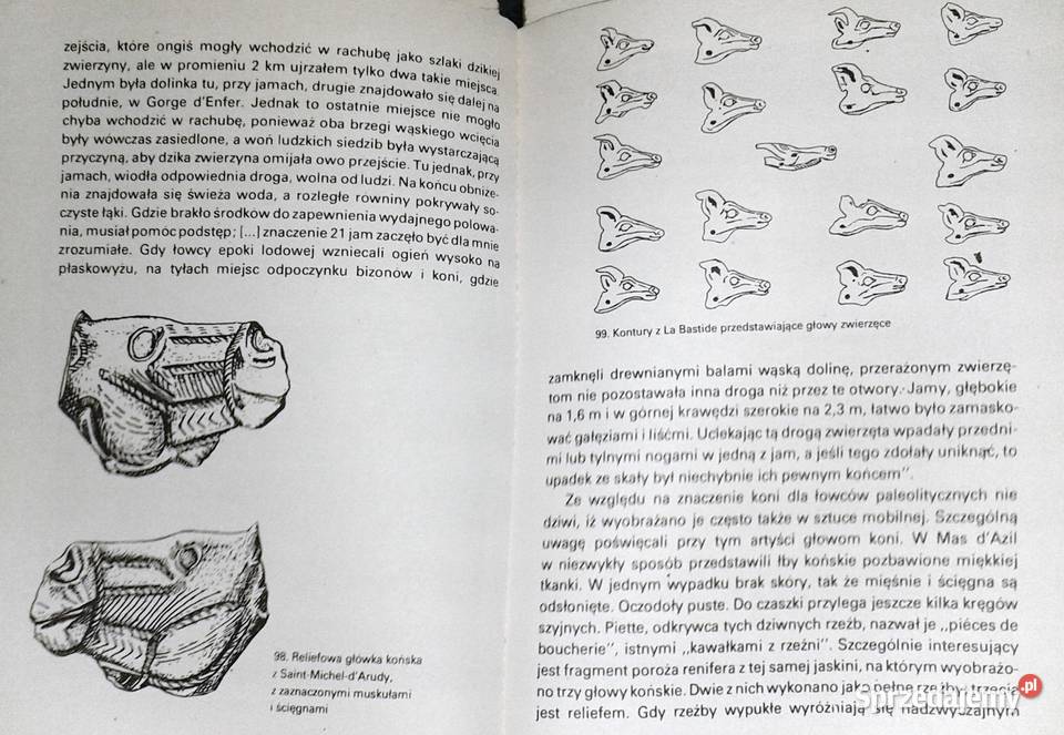 Wenus epoki lodowej Rudolf Drssler Pozostałe Chełm