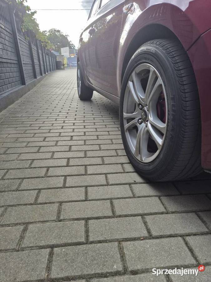 Koła letnie wielkopolskie Poznań