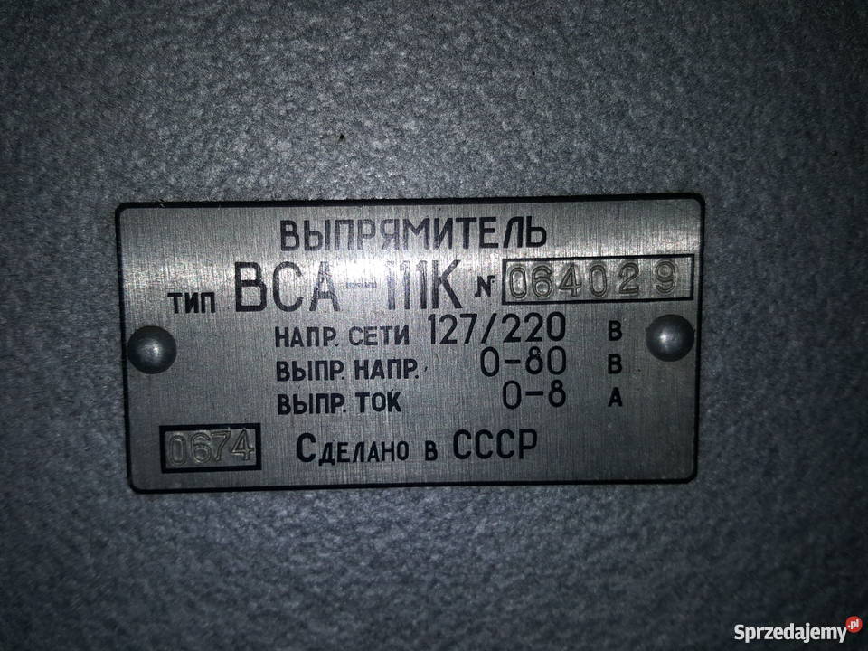 Prostownik rosyjski Zamość