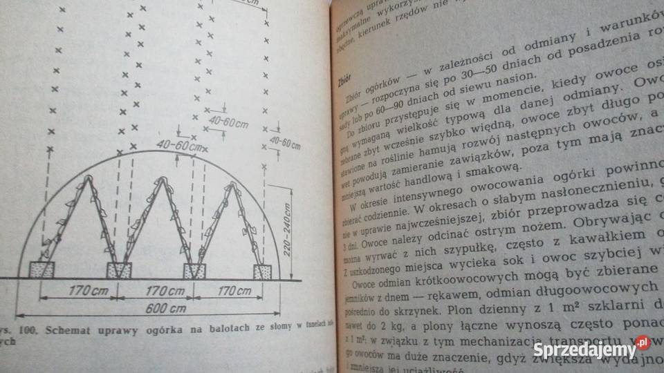 1001 sposobów na piękny ogródUprawa warzywOgród