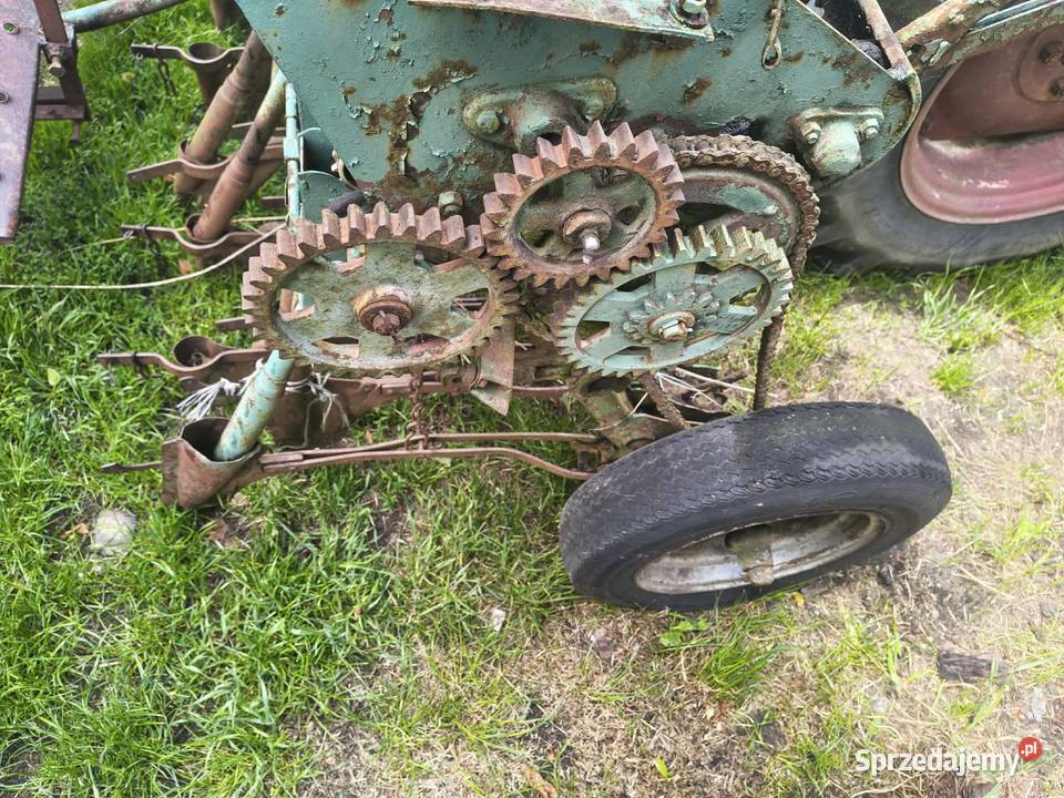 Sprzedam siewnik Wschowa